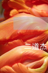 二道杰出医疗事故律师费标准 二道杰出医疗事故律师费标准