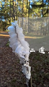 二道杰出房产律师网 二道杰出房产律师网