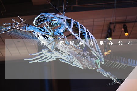 二道江区期货交易在线律师 二道江区期货交易在线律师