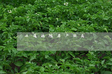 二道法院房产拍卖