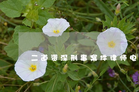 二道资深刑事案件律师电话 二道资深刑事案件律师电话