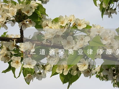 二道资深商业律师服务 二道资深商业律师服务