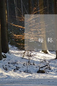 二铵标识违法标注