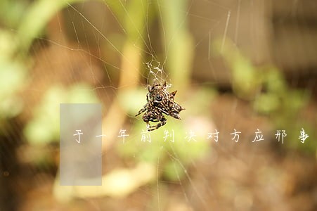 于一年前判决对方应邢事做牢