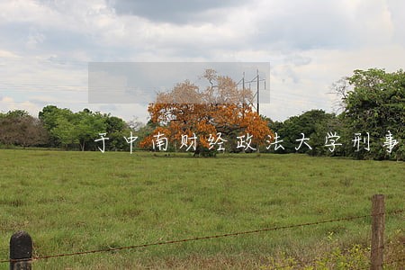 于中南财经政法大学刑事司法学院 于中南财经政法大学刑事司法学院