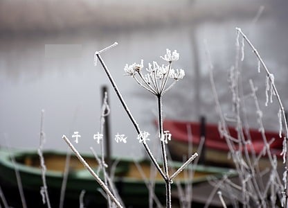 于中权律师 于中权律师