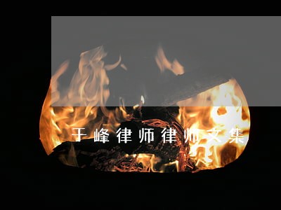 于峰律师律师文集 于峰律师律师文集