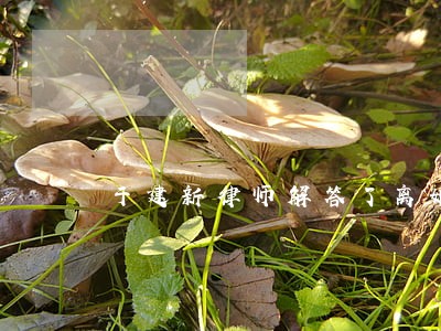 于建新律师解答了离婚需要户口本