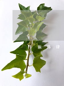 于振伟律师咨询
