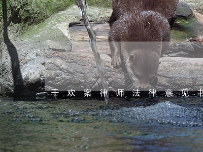 于欢案律师法律意见书 于欢案律师法律意见书