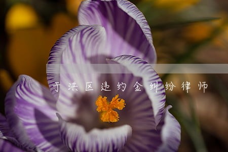于洪区违约金纠纷律师 于洪区违约金纠纷律师