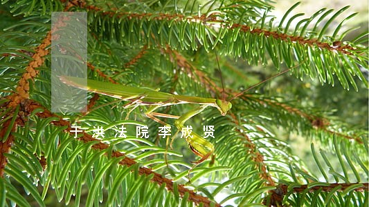 于洪法院李成贤 于洪法院李成贤