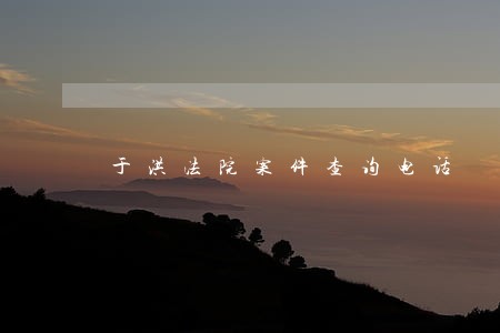 于洪法院案件查询电话
