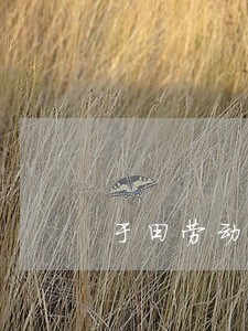 于田劳动纠纷法律咨询 于田劳动纠纷法律咨询