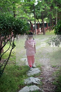 于田县图片版权侵权律师