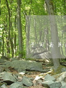 于田县民事债务纠纷律师 于田县民事债务纠纷律师