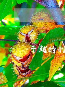 于越的刑法