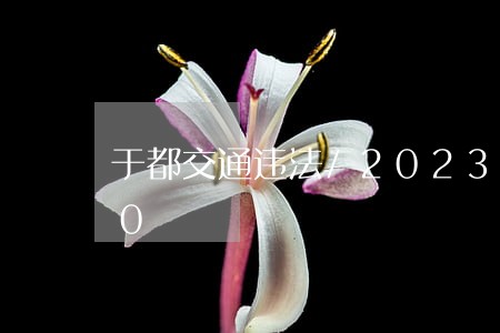 于都交通违法/2023020354980