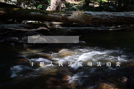 于都人民法院司法拍卖