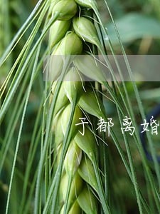 于都离婚律师咨询电话 于都离婚律师咨询电话