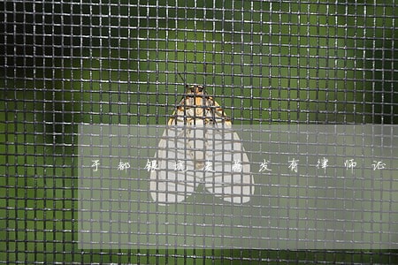 于都银坑凌满发有律师证没有 于都银坑凌满发有律师证没有
