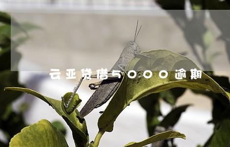 云亚贷借5000逾期 云亚贷借5000逾期