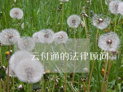 云付通的法律顾问
