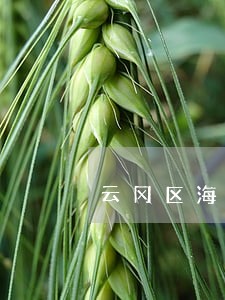 云冈区海关商检律师在线免费咨询