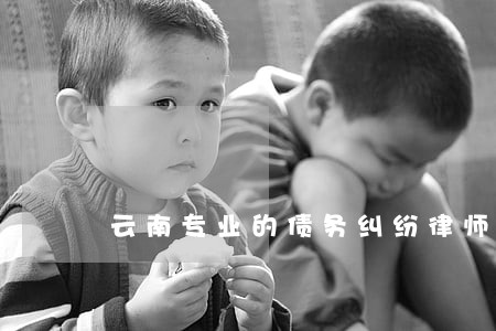 云南专业的债务纠纷律师咨询 云南专业的债务纠纷律师咨询