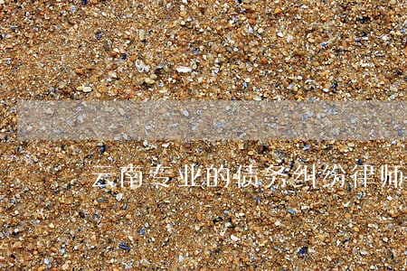 云南专业的债务纠纷律师哪家好 云南专业的债务纠纷律师哪家好