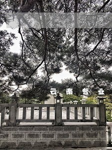 云南专业的债务纠纷律师在线咨询 云南专业的债务纠纷律师在线咨询