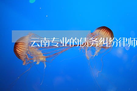 云南专业的债务纠纷律师多少钱 云南专业的债务纠纷律师多少钱