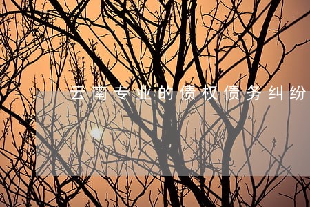 云南专业的债权债务纠纷律师价钱 云南专业的债权债务纠纷律师价钱