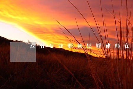 云南专业职务犯罪律师在线咨询 云南专业职务犯罪律师在线咨询