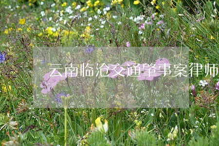 云南临沧交通肇事案律师代理费 云南临沧交通肇事案律师代理费