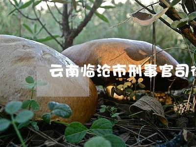 云南临沧市刑事官司律师免费咨询 云南临沧市刑事官司律师免费咨询
