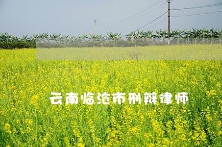 云南临沧市刑辩律师 云南临沧市刑辩律师