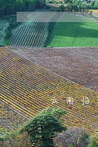 云南临沧市办理刑事会见律师 云南临沧市办理刑事会见律师