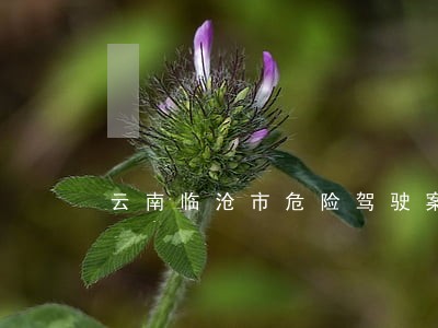云南临沧市危险驾驶案律师多少钱 云南临沧市危险驾驶案律师多少钱