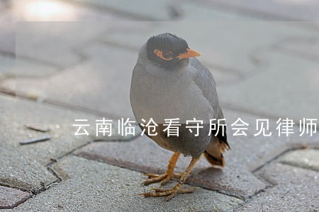云南临沧看守所会见律师多少钱 云南临沧看守所会见律师多少钱