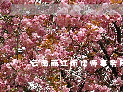 云南丽江市律师事务所大全 云南丽江市律师事务所大全