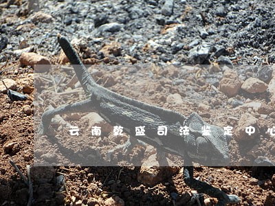 云南乾盛司法鉴定中心主任 云南乾盛司法鉴定中心主任