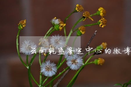 云南乾盛鉴定中心的微博 云南乾盛鉴定中心的微博