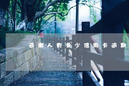 云南人有多少信用卡逾期 云南人有多少信用卡逾期