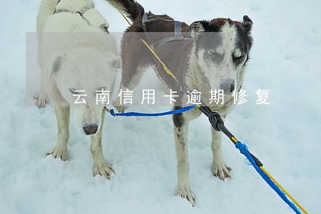 云南信用卡逾期修复 云南信用卡逾期修复