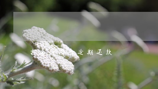 云南信用卡逾期还款 云南信用卡逾期还款