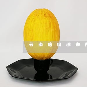 云南信用逾期严重怎么办 云南信用逾期严重怎么办