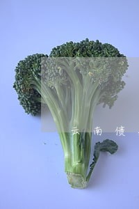云南债务律师排名情况 云南债务律师排名情况