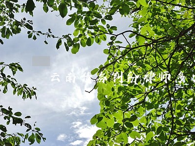 云南债务纠纷律师多少钱 云南债务纠纷律师多少钱