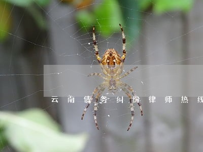 云南债务纠纷律师热线电话